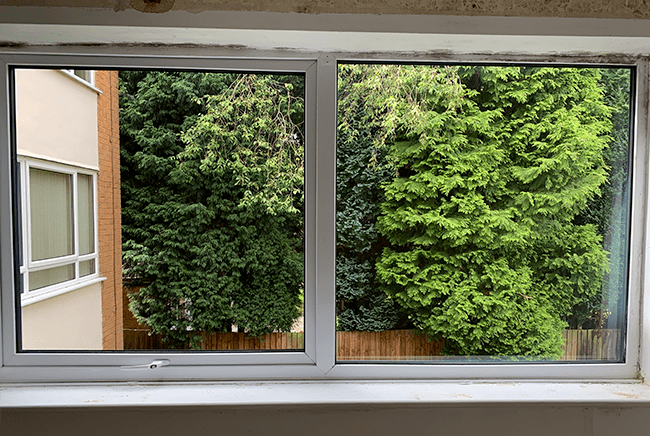 fogged window replacement birmingham