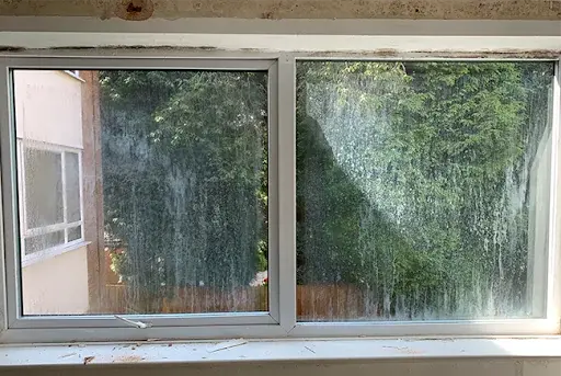 Window Glass Replacement